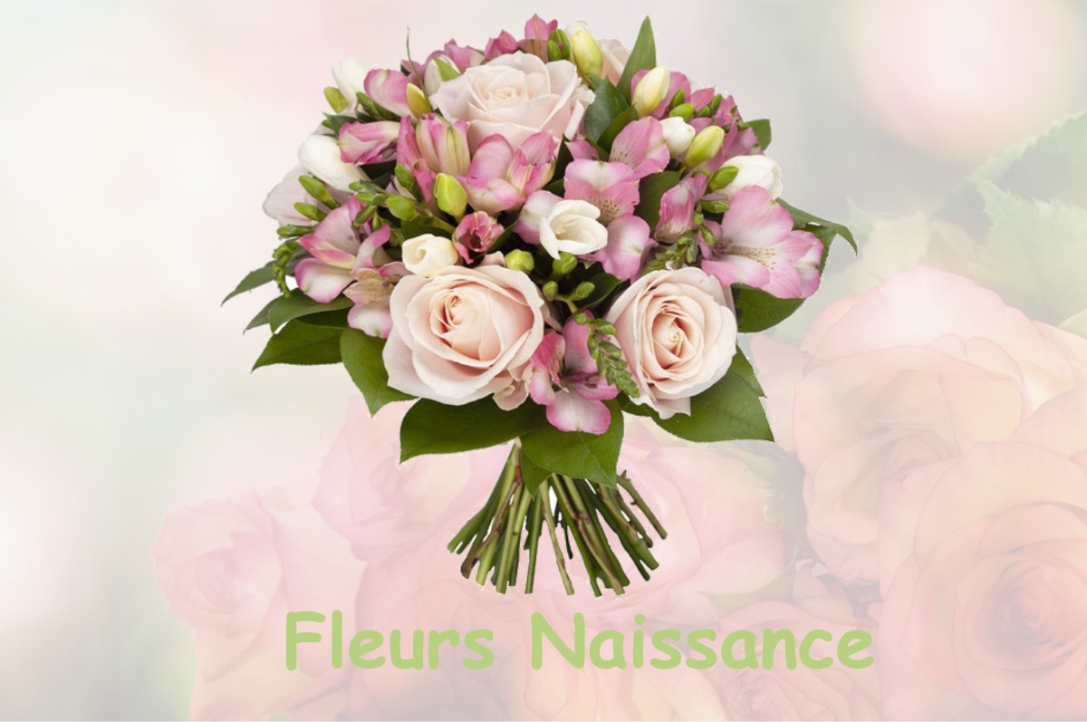fleurs naissance BRIVES-CHARENSAC